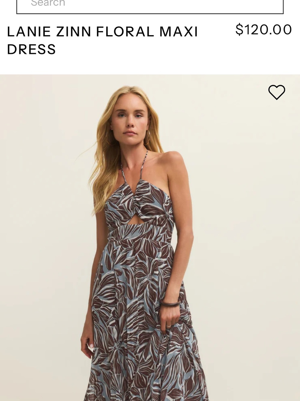 Z Supply Lanie Zinn Floral Maxi Dress - Brown & Light Blue - Picture 1 of 9